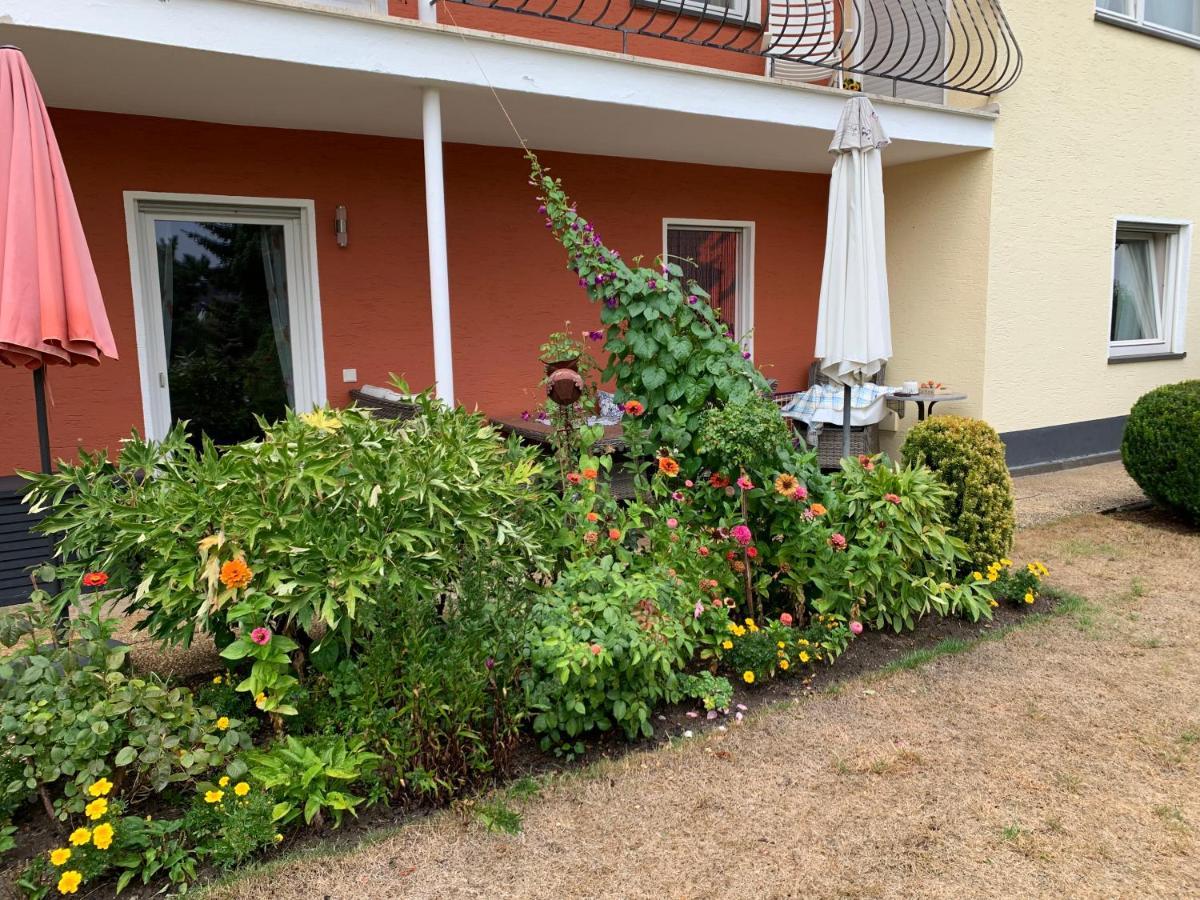 Gruene Oase Apartment Kottenheim Exterior photo
